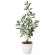 光触媒 人工観葉植物 造花 オリーブ (高さ73cm) (379P75)