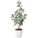 光触媒 人工観葉植物 造花 オリーブ (高さ73cm) (379P75)