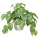 光触媒 人工観葉植物 造花 フレッシュポトスM (高さ36cm) (384K55)
