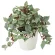 光触媒 人工観葉植物 造花 実付ローレル(フロック加工) (高さ25cm) (388G40)