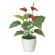 光触媒 人工観葉植物 造花 フレッシュアンスリューム (高さ40cm) (389A35)