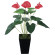 光触媒 人工観葉植物 造花 アンスリューム (高さ53cm) (437K45)