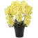 光触媒 人工観葉植物 造花 クイーン胡蝶蘭5本立Y (高さ74cm) (448A150)