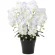 光触媒 人工観葉植物 造花 キング胡蝶蘭7本立W (高さ76cm) (451A200)