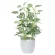 光触媒 人工観葉植物 造花 ミニピポエスタポット (高さ27cm) (525A25)