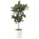 光触媒 人工観葉植物 造花 パンの木90 (高さ90cm) (613P165)