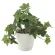 光触媒 人工観葉植物 造花 フレッシュアイビーS (高さ25cm) (640A35)