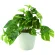 光触媒 人工観葉植物 造花 フレッシュポトスS (高さ25cm) (642A35)