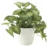 光触媒 人工観葉植物 造花 フレッシュカラージュームS (高さ25cm) (644A35)