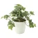 光触媒 人工観葉植物 造花 フレッシュ斑入りアイビーS (高さ25cm) (646A35)