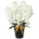光触媒 人工観葉植物 造花 プレミアム胡蝶蘭5本立W (高さ75cm) (651K200)