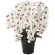 光触媒 人工観葉植物 造花 プレミアム胡蝶蘭7本立W/AB (高さ75cm) (657A250)