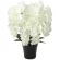 光触媒 人工観葉植物 造花 プレミアム胡蝶蘭7本立W (高さ75cm) (658A250)