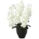 光触媒 人工観葉植物 造花 プレミアム胡蝶蘭W (高さ68cm) (659K135)