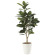 光触媒 人工観葉植物 造花 ゴムの木1.25 (高さ125cm) (710P250)