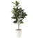 光触媒 人工観葉植物 造花 ゴムの木1.25 (高さ125cm) (710P250)