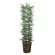 光触媒 人工観葉植物 造花 黒竹 1.8(幹:天然黒竹) (高さ180cm) (775A450)