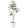 光触媒 人工観葉植物 造花 ウンベラ―タツリ―1.8 (高さ180cm) (805A430)