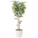 光触媒 人工観葉植物 造花 ケヤキ1.8 (高さ180cm) (807P470)