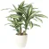 光触媒 人工観葉植物 造花 幸福の木S (高さ60cm) (829K135)
