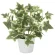 光触媒 人工観葉植物 造花 斑入りアイビ― (高さ23cm) (834K30)