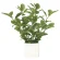 光触媒 人工観葉植物 造花 ミニリーフ (高さ21cm) (936K28)