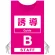 ピンク(B)