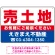 赤文字