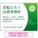 グリーン
