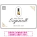アンティーク調エレガンスなネイルサロン向けデザインプレート看板 ホワイト W450×H300 エコユニボード(SP-SMD783A-45x30U)