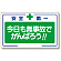 安全標語標識 今日も無事故でがんばろう (336-25)