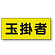 ポケット付きベスト用ビニールシートのみ 表示内容:玉掛者 (379-664) 玉掛者 (379-664)