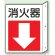 突出しタイプ 消化用品方向表示 300×225 消火器↓ 普通タイプ (825-83)