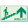非常口矢印階段壁面用蓄光ステッカー 上 (829-88)