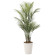 光触媒 人工観葉植物 造花 アレカパ-ム1.7(ポリ製) (高さ170cm) (2006P500)