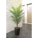 光触媒 人工観葉植物 造花 パームツリー1.3(ポリ製) (高さ130cm) (2238A200)