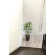 光触媒 人工観葉植物 造花 パピルス1.25 (高さ125cm) (2297A200)