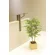 光触媒 人工観葉植物 造花 ウッドボックスライトトネリコ1.0 (高さ100cm) (2306R280)