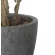 光触媒 人工観葉植物 造花 ナチュラルシーグレープ1.6 (高さ160cm) (2402A480)