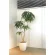 光触媒 人工観葉植物 造花 DXショウナンゴム1.8 (高さ180cm) (2417A500)