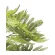 光触媒 人工観葉植物 造花 ねむの木90(ポリ製) (高さ90cm) (2428A150)