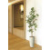 光触媒 人工観葉植物 造花 スリムサラサドウダン1.7 (高さ170cm) (2515R360)