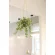 光触媒 人工観葉植物 造花 プミラハンギング (高さ110cm) (2583A150)