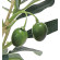 光触媒 人工観葉植物 造花 オリーブ (高さ73cm) (379P75)