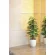 光触媒 人工観葉植物 造花 フレッシュポールポトス (高さ48cm) (382K60)
