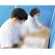 ■すりガラス調 設置事例(サイズは商品仕様でご確認ください)