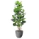 光触媒 人工観葉植物 造花 ナチュラルシーグレープ1.6 (高さ160cm) (2402A480)