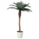 光触媒 人工観葉植物 造花 フェニックス 1.8(組立式) (高さ180cm) (353H580)