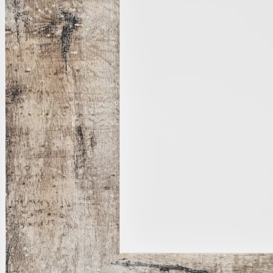 ■ブラウンフレーム拡大写真