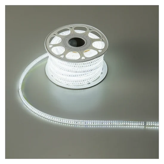 安全用品ストア: LEDロープライト 両面発光タイプ 10m (275014) - LED